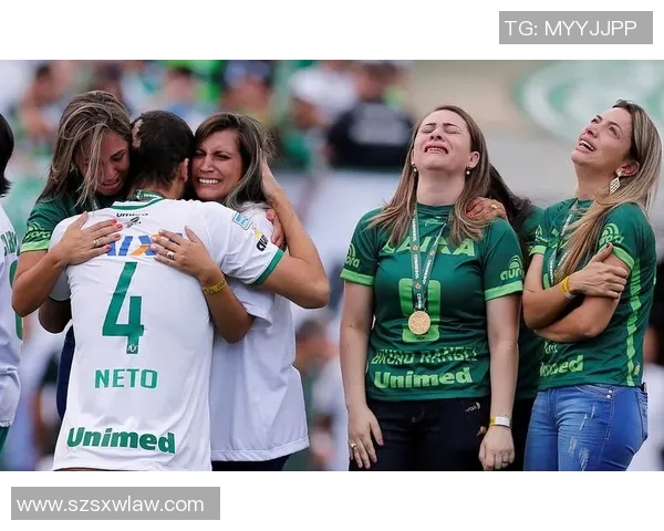 足球明星空难悲剧背后的故事与启示